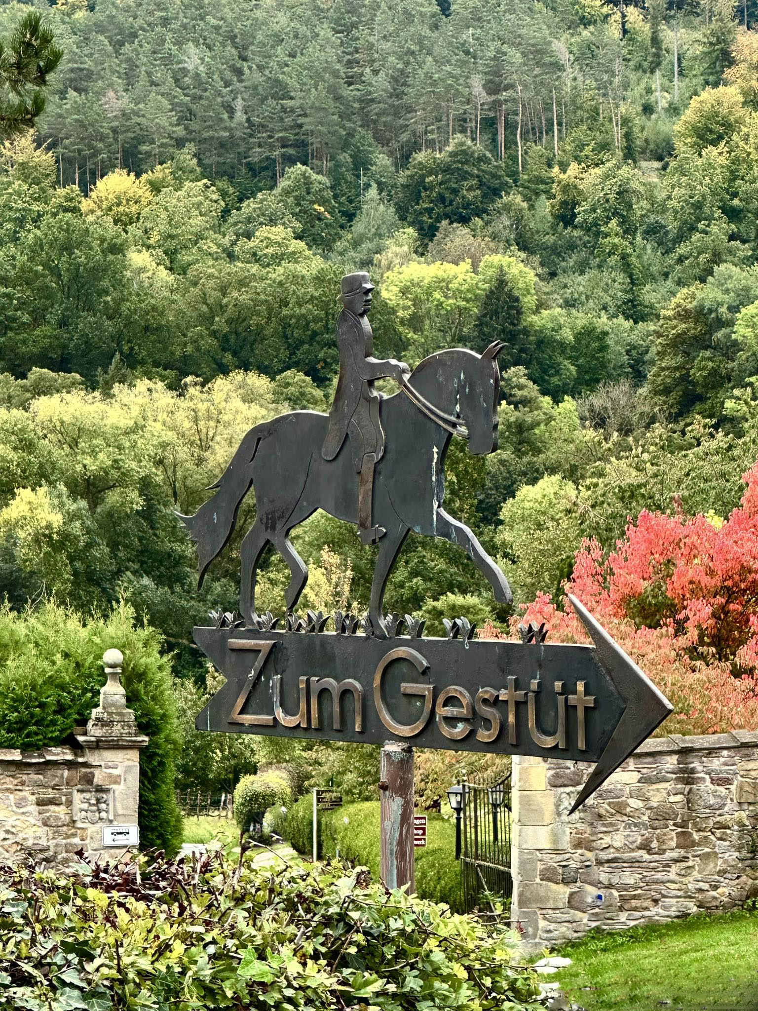 Oktober 2025 in Hmelschenburg - Foto: Beate Langels - Trakehner Gestt Hmelschenburg
