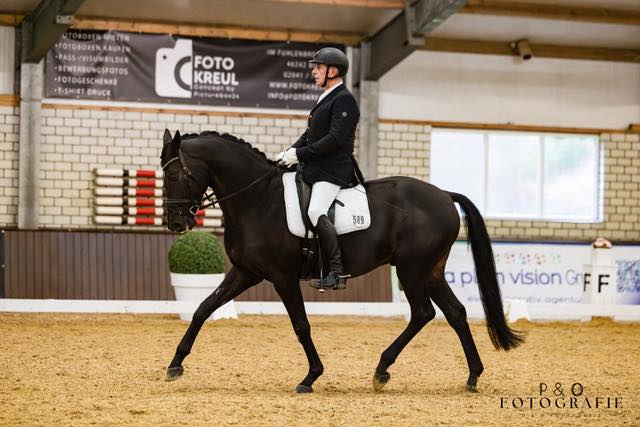 Highclere - Trakehner von Saint Cyr u.d. Hanna v. Summertime