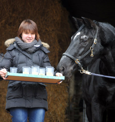 Kim schenkt den Sekt aus  Kostolany's 27. Geburtstag - Foto: Beate Langels - Trakehner Gestt Hmelschenburg