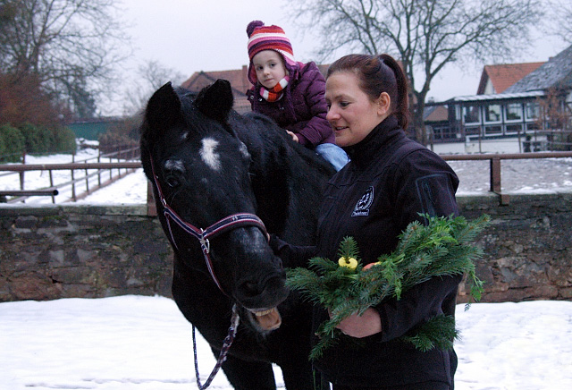 Kostolany's 28. Geburtstag - am 10. Dezember 2012, Foto: Beate Langels, Trakehner Gestt Hmelschenburg - Beate Langels