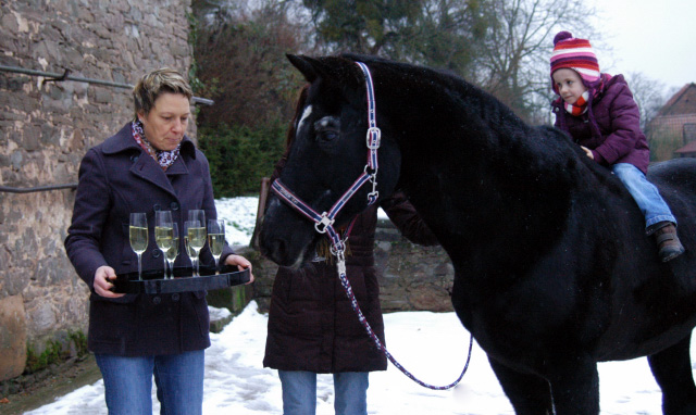 Kostolany's 28. Geburtstag - am 10. Dezember 2012, Foto: Beate Langels, Trakehner Gestt Hmelschenburg - Beate Langels