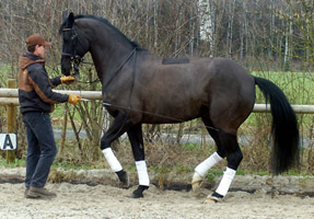 Kuranyi von Kostolany - Sandro - Inschallah AA