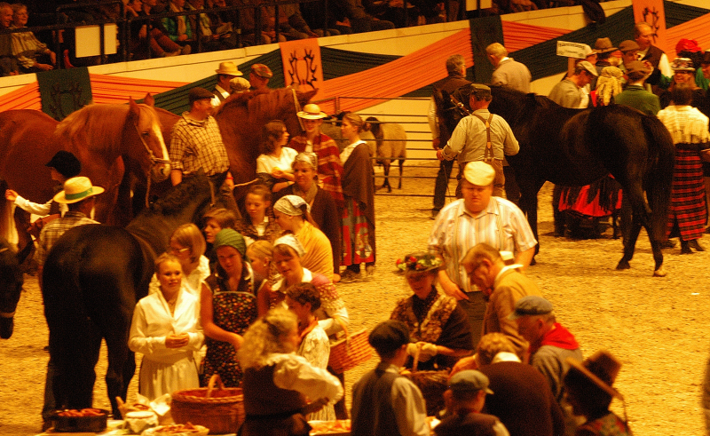 Wehlauer Pferdemarkt - Foto: Beate Langels, Trakehner Gestt Hmelschenburg