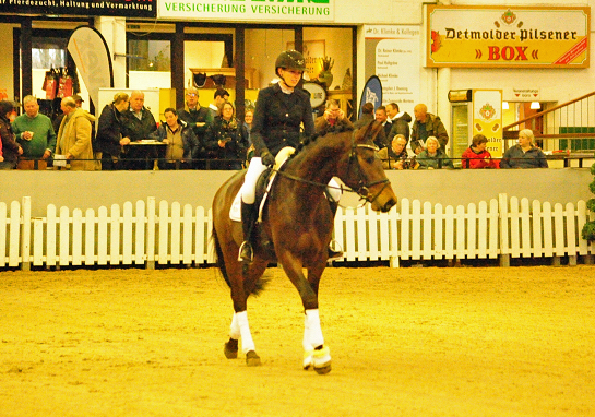 Special Motion von High Motion x Imperio  - Gestt Hmelschenburg - Foto: Beate Langels