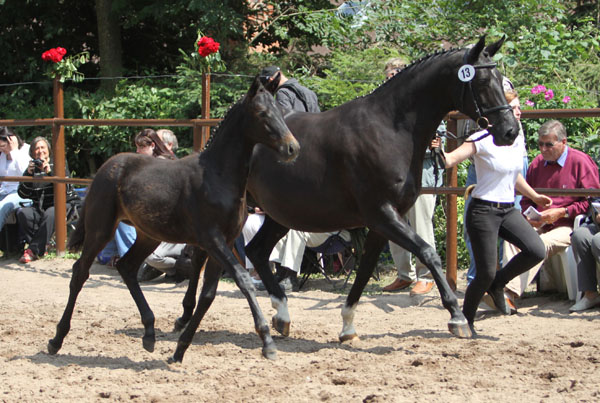 Vittoria von Exclusiv u.d. Elitestute Vicenza v. Showmaster mit Stutfohlen von Summertime - Foto: Beate Langels - Trakehner Gestt Hmelschenburg