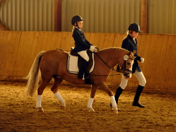 Sieg im Fhrzgelwettbewerb fr Greta, Pauline und Cinja - Foto: Beate Langels -  
Trakehner Gestt Hmelschenburg