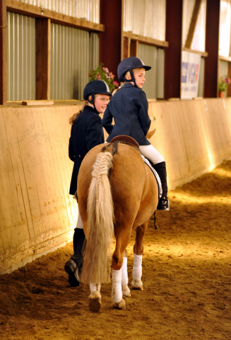 Sieg im Fhrzgelwettbewerb fr Greta, Pauline und Cinja - Foto: Beate Langels -  
Trakehner Gestt Hmelschenburg