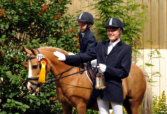 Sieg im Fhrzgelwettbewerb fr Greta, Pauline und Cinja - Foto: Beate Langels -  
Trakehner Gestt Hmelschenburg