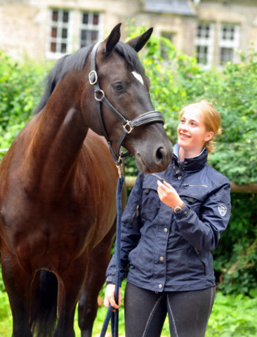 Ehramo von Alter Fritz x Kostolany im Juli 2012 - Foto: Beate Langels - Trakehner Gestt Hmelschenburg