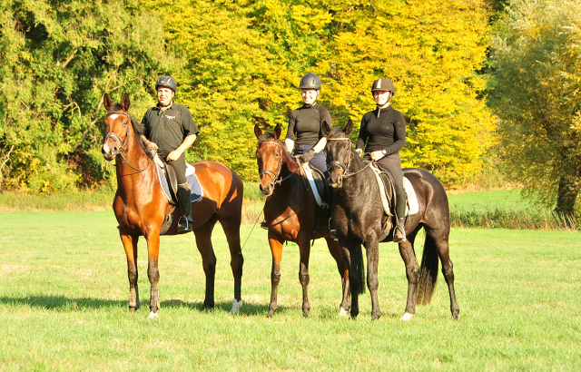 3jhrige Stute Valenta v. Oliver Twist u.d. ESt. Vittoria v. Showmaster - Trakehner Gestt Hmelschenburg - 
Foto: Beate Langels