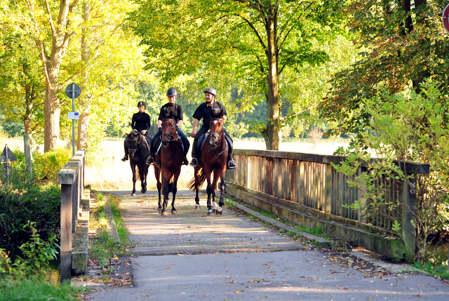 3jhrige Stute Valenta v. Oliver Twist u.d. ESt. Vittoria v. Showmaster - Trakehner Gestt Hmelschenburg - 
Foto: Beate Langels