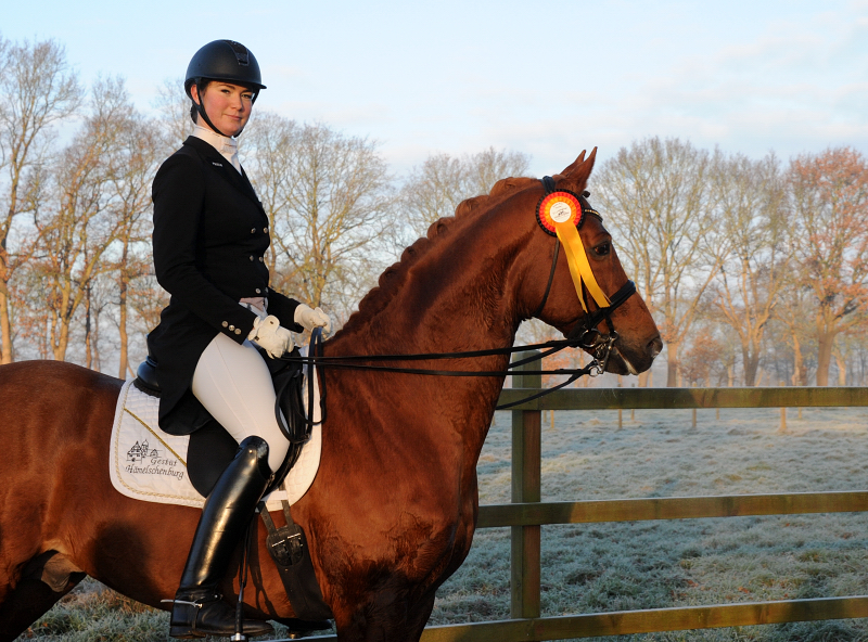 Zauberdeyk von Van Deyk und Lune Karolin Mller  - Foto: Beate Langels - Trakehner Gestt Hmelschenburg