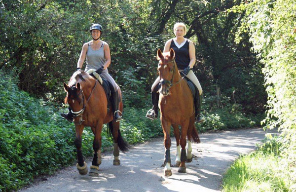 Khedira von Summertime u.d. ESt. Kalmar v. Exclusiv - Trakehner Gestt Hmelschenburg 