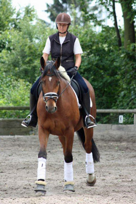 Khedira von Summertime u.d. ESt. Kalmar v. Exclusiv - Trakehner Gestt Hmelschenburg 