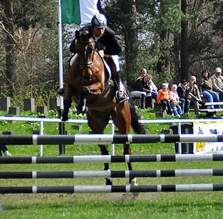 Klose von Shavalou u.d. Kida v. Schampus u.d. Pr.St. Kassis von Kostolany, Zchter: Bernhard Langels