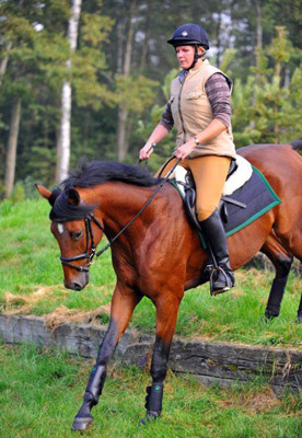 3jhriger Trakehner Hengst Scoubidou von Summertime - Herzruf - Foto: Antje Berodt