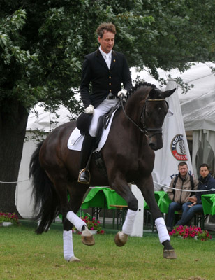 Seal - Trakehner von Gribaldi u.d. Pr.St. Schwalbenspiel v. Exclusiv, Gestt Hmelschenburg, Foto: Beate Langels