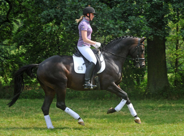 Symont von Monteverdi und der Syvari v. Kostolany - Foto: Beate Langels - Trakehner Gestt Hmelschenburg