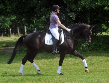 Symont von Monteverdi und der Syvari v. Kostolany - Foto: Beate Langels - Trakehner Gestt Hmelschenburg