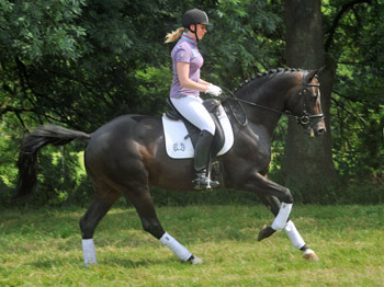 Symont von Monteverdi und der Syvari v. Kostolany - Foto: Beate Langels - Trakehner Gestt Hmelschenburg