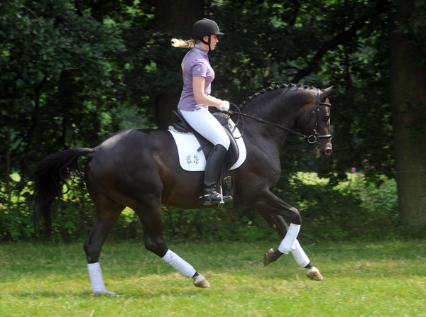 Symont von Monteverdi und der Syvari v. Kostolany - Foto: Beate Langels - Trakehner Gestt Hmelschenburg