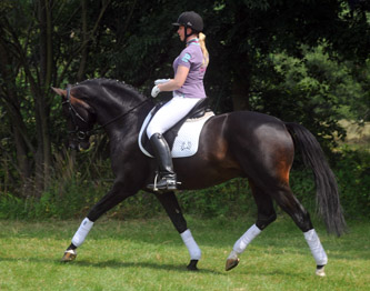 Symont von Monteverdi und der Syvari v. Kostolany - Foto: Beate Langels - Trakehner Gestt Hmelschenburg