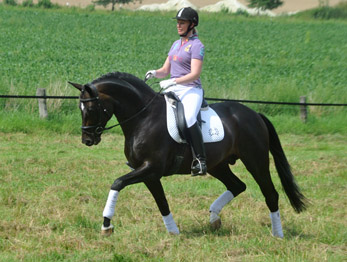 Symont von Monteverdi und der Syvari v. Kostolany - Foto: Beate Langels - Trakehner Gestt Hmelschenburg