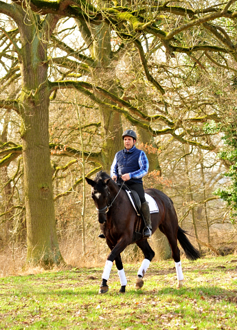 Ginger Rogers v. Symont u.d. Pr.u.ESt. Greta Garbo v. Alter Fritz  - Foto: Beate Langels -
Trakehner Gestt Hmelschenburg