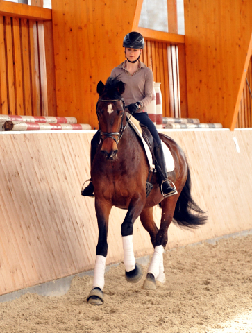 Sacre de L'Est von Freudenfest geritten von Stephanie Leuenberger - Foto Beate Langels