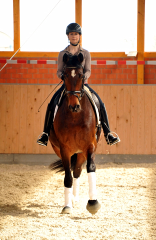 Sacre de L'Est von Freudenfest geritten von Stephanie Leuenberger - Foto Beate Langels