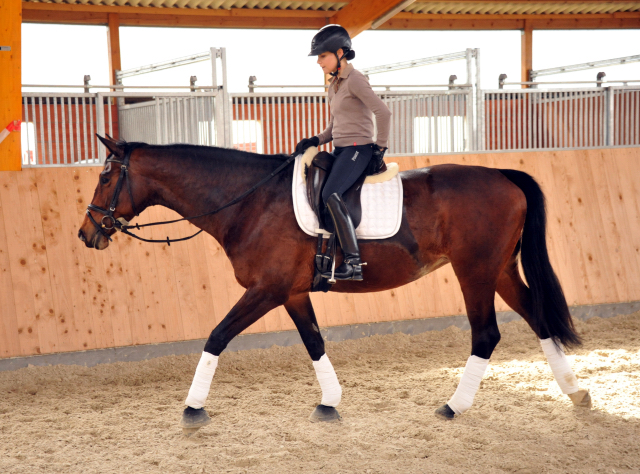 Sacre de L'Est von Freudenfest geritten von Stephanie Leuenberger - Foto Beate Langels