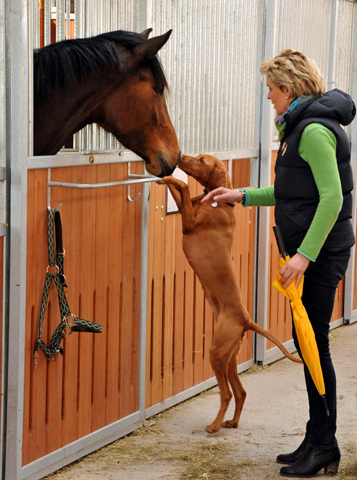 Katniss Everdeen von Saint Cyr  - Foto Beate Langels