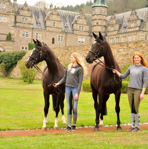 Greta Garbo und ihre Tochter Ginger Rogers - Foto: Beate Langels -
Trakehner Gestt Hmelschenburg