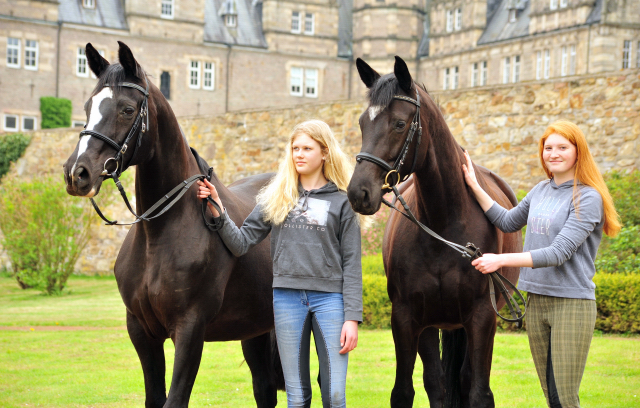 Ginger Rogers v. Symont u.d. Pr.u.ESt. Greta Garbo v. Alter Fritz  - Foto: Beate Langels -
Trakehner Gestt Hmelschenburg