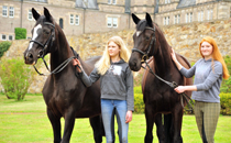 April 2017- Foto: Beate Langels - Trakehner Gestt Hmelschenburg