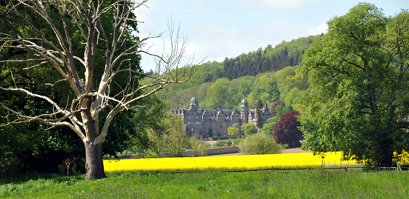 Hmelschenburg - Anfang Mai 2015 - Foto Beate Langels - Gestt Hmelschenburg