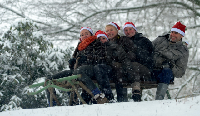 Vorweihnachtszeit in Hmelschenburg - Dezember 2012, Foto: Beate Langels, Trakehner Gestt Hmelschenburg - Beate Langels