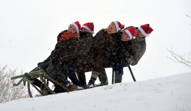Vorweihnachtszeit in Hmelschenburg - Dezember 2012, Foto: Beate Langels, Trakehner Gestt Hmelschenburg - Beate Langels
