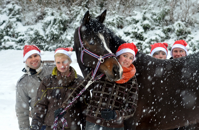 Vorweihnachtszeit in Hmelschenburg - Dezember 2012, Foto: Beate Langels, Trakehner Gestt Hmelschenburg - Beate Langels
