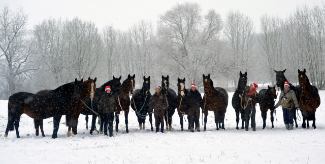 Vorweihnachtszeit in Hmelschenburg - Dezember 2012, Foto: Beate Langels, Trakehner Gestt Hmelschenburg - Beate Langels