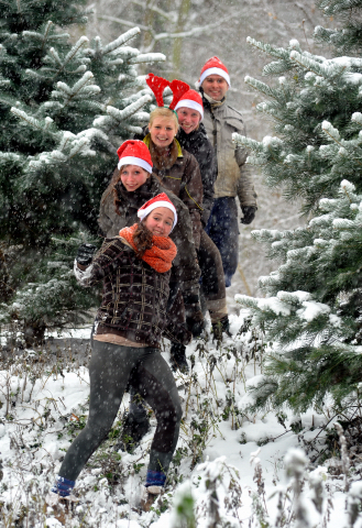 Vorweihnachtszeit in Hmelschenburg - Dezember 2012, Foto: Beate Langels, Trakehner Gestt Hmelschenburg - Beate Langels