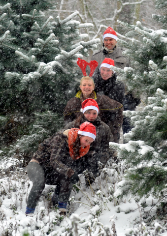 Vorweihnachtszeit in Hmelschenburg - Dezember 2012, Foto: Beate Langels, Trakehner Gestt Hmelschenburg - Beate Langels