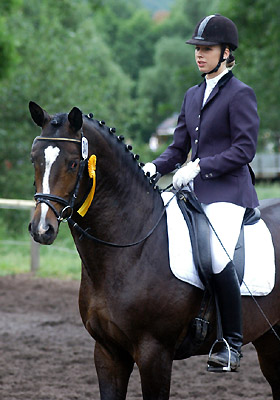 Trakehner Prmienhengst SAINT CYR von Kostolany u.d. Elitestute Schwalbenspiel v. Exclusiv - Foto: Beate Langels - Trakehner Gestt Hmelschenburg