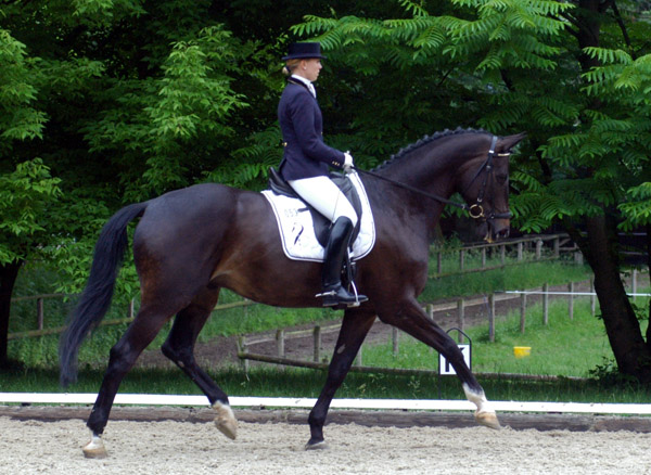 Seal - Trakehner von Gribaldi u.d. Pr.St. Schwalbenspiel v. Exclusiv, Gestt Hmelschenburg