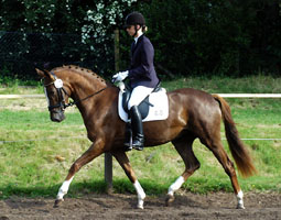 Kavalou v. Shavalou x Exclusiv geritten von Christina