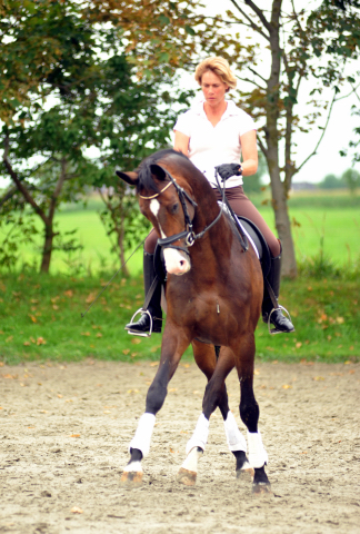 Grand Corazn von Symont u.d. Pr.u.StPrSt. Guendalina v. Red Patrick xx - Trakehner Gestt Hmelschenburg