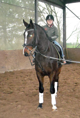 Viareggio als Lehrpferd des 7jhrigen Julian - Dunkelbrauner Trakehner Viareggio von Exclusiv - Showmaster - 2012