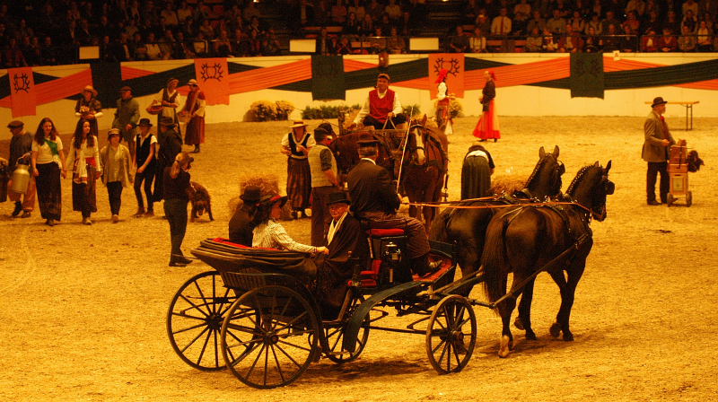 Wehlauer Pferdemarkt - Foto: Beate Langels, Trakehner Gestt Hmelschenburg