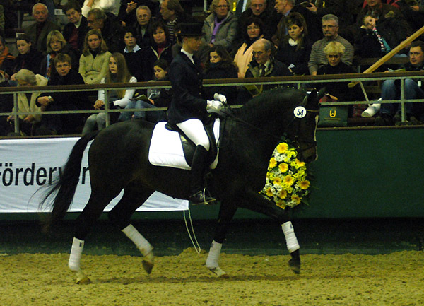 Trakehner Prmienhengst SAINT CYR v. Kostolany u.d. Elitestute Schwalbenspiel v. Exclusiv - Foto: Beate Langels - Trakehner Gestt Hmelschenburg