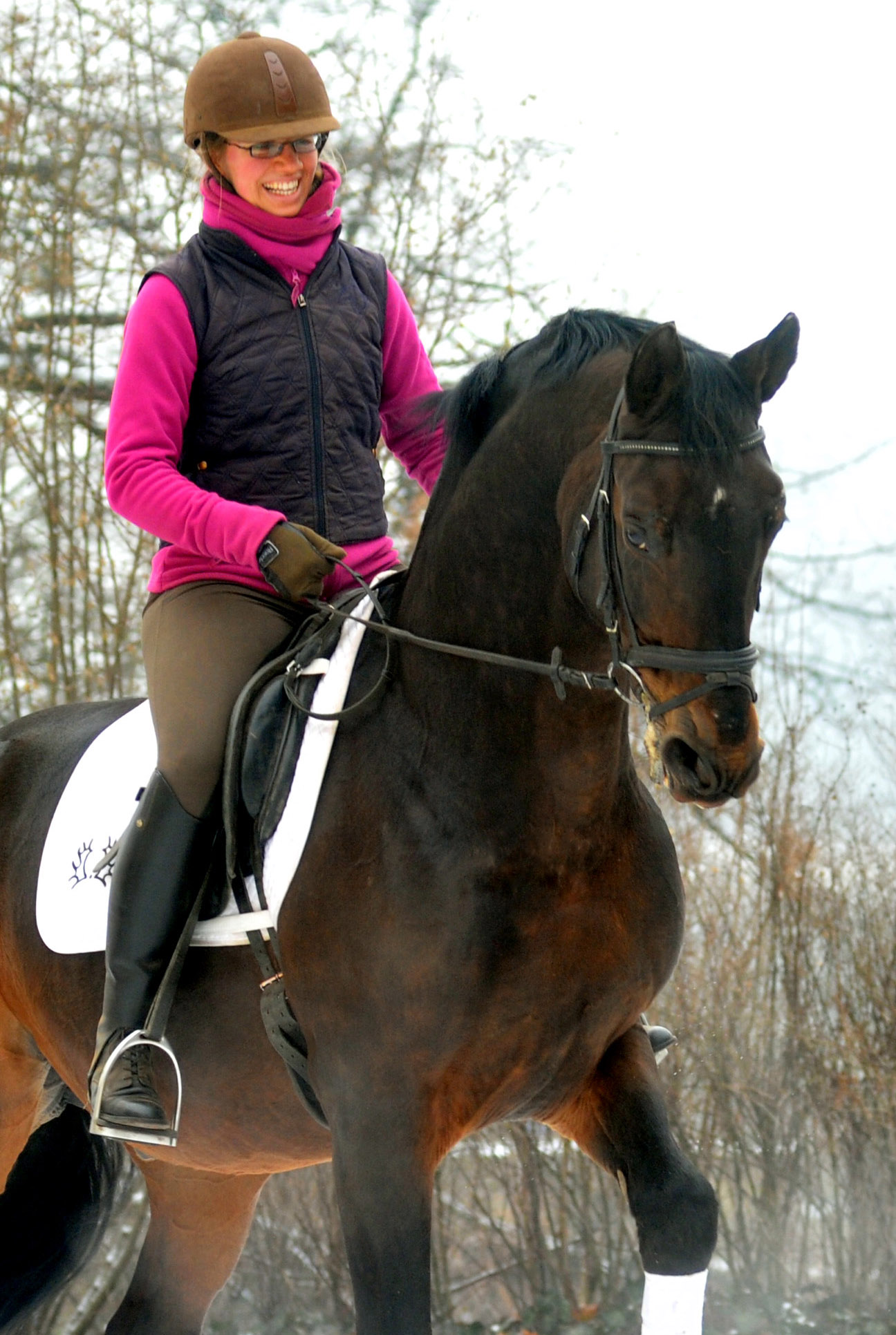 Showmaster von Kostolany/Ibikus  geritten von unserer Praktikantin Johanne - Trakehner Gestt Hmelschenburg